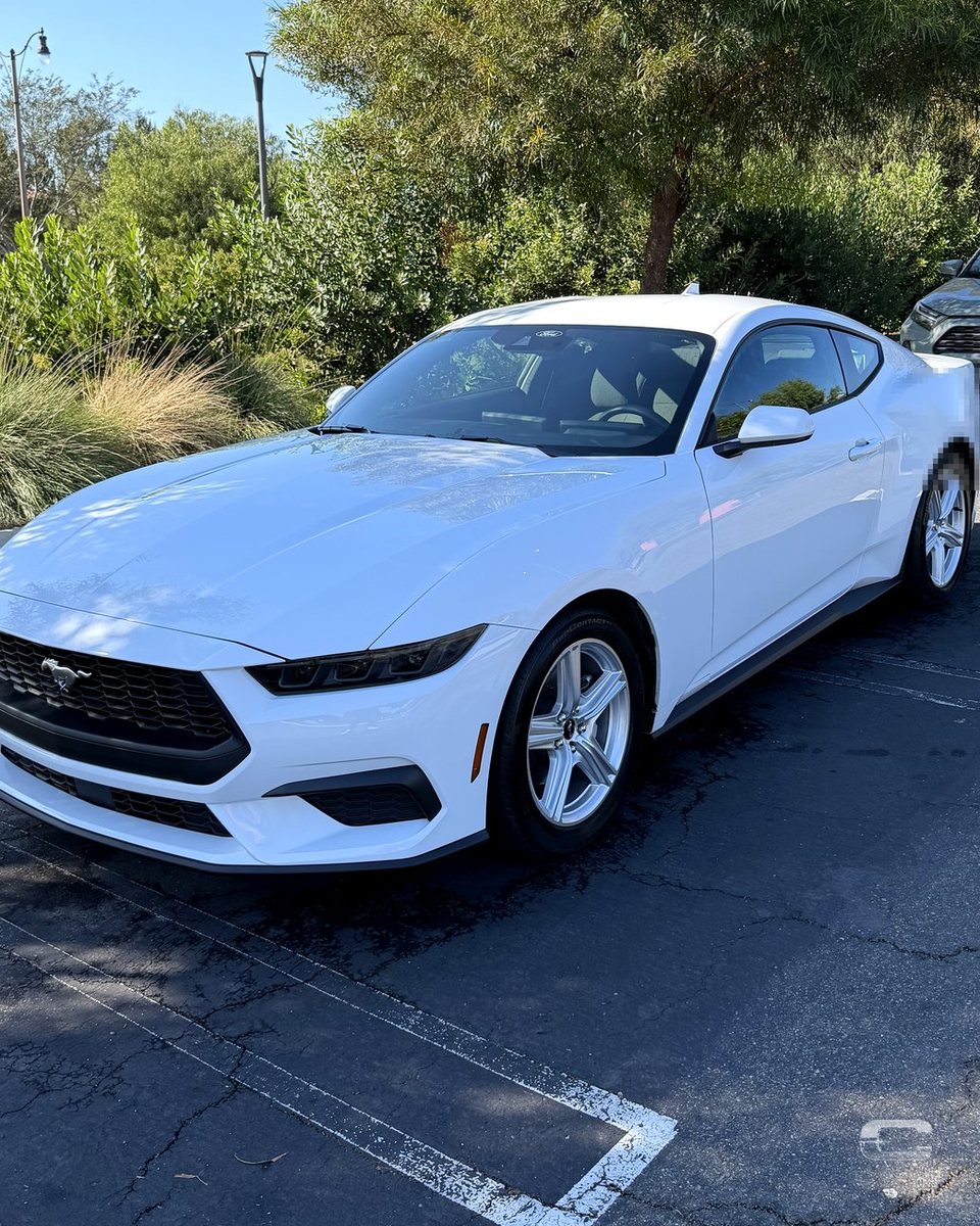 White Ford Mustang after detailing